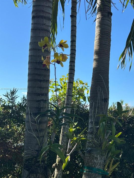 For Sale: $640,000 (4 beds, 2 baths, 1104 Square Feet)