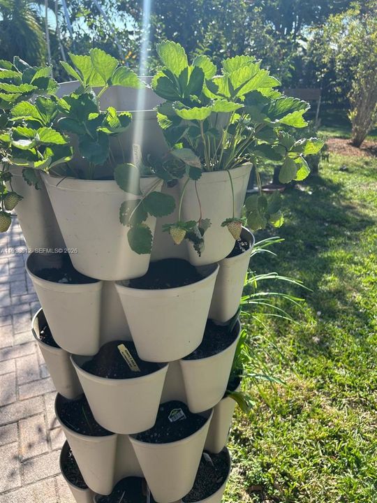 For Sale: $640,000 (4 beds, 2 baths, 1104 Square Feet)