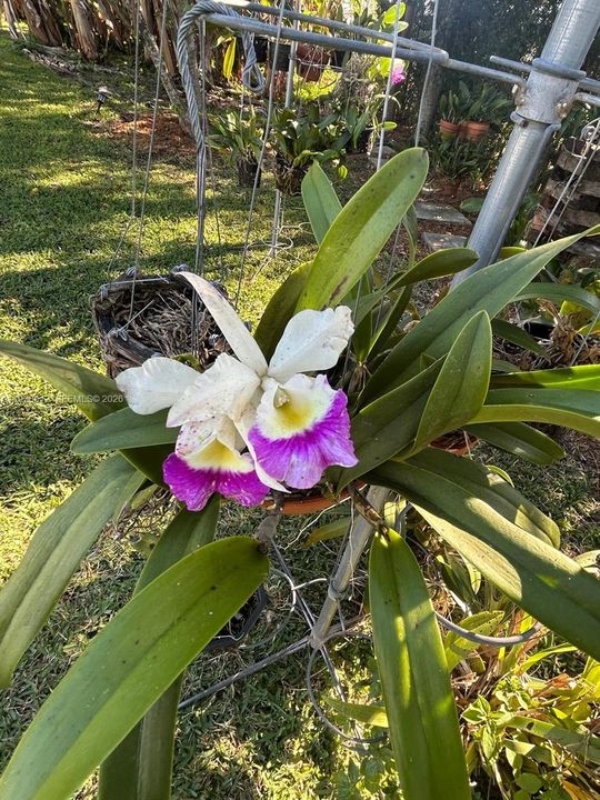 For Sale: $640,000 (4 beds, 2 baths, 1104 Square Feet)