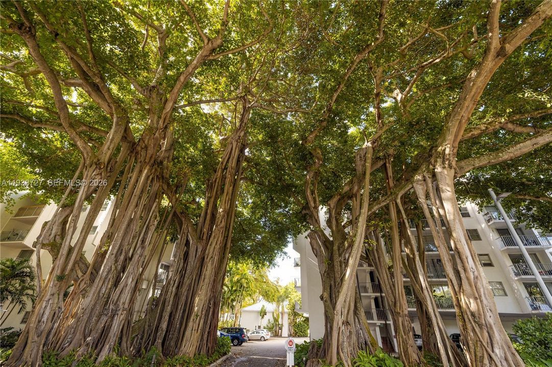 For Sale: $995,000 (4 beds, 4 baths, 2147 Square Feet)