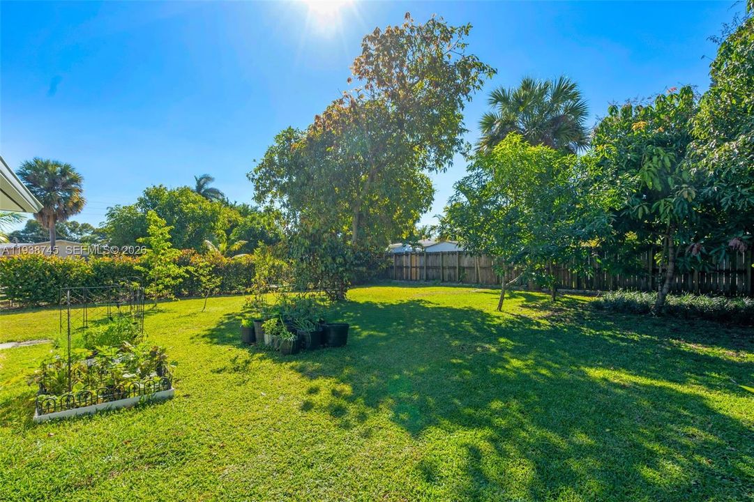 待售: $580,000 (3 贝兹, 2 浴室, 1446 平方英尺)