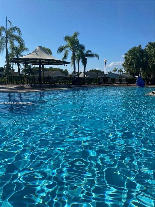 出租: $2,300 (2 贝兹, 2 浴室, 1180 平方英尺)