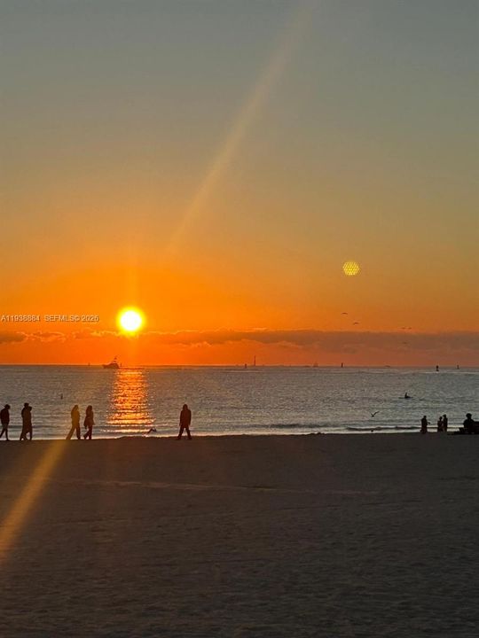 待售: $229,000 (1 贝兹, 1 浴室, 410 平方英尺)