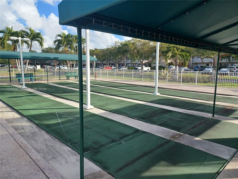 Shuffleboard at Devon