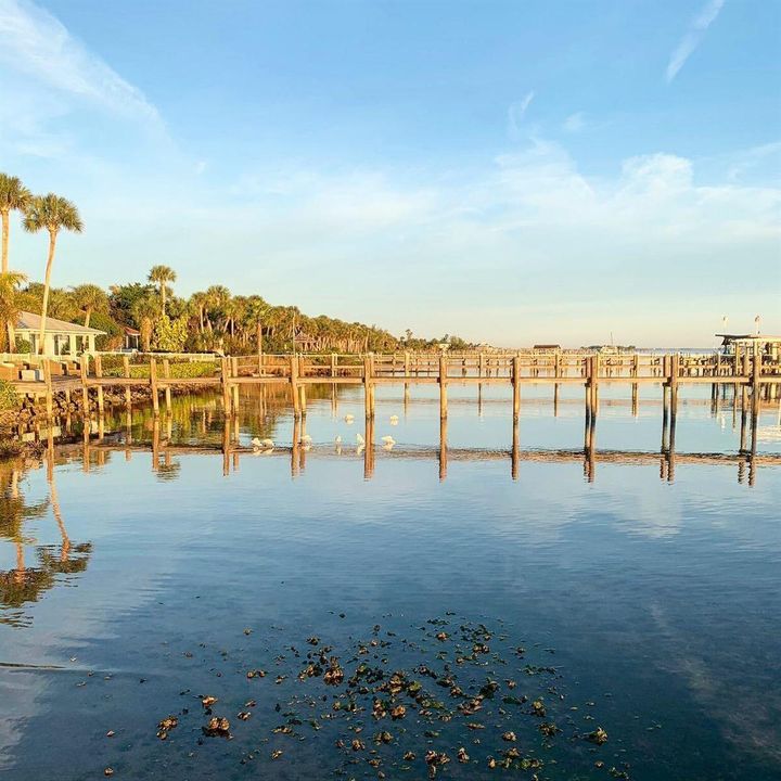 LOW TIDE ON THE RIVER
