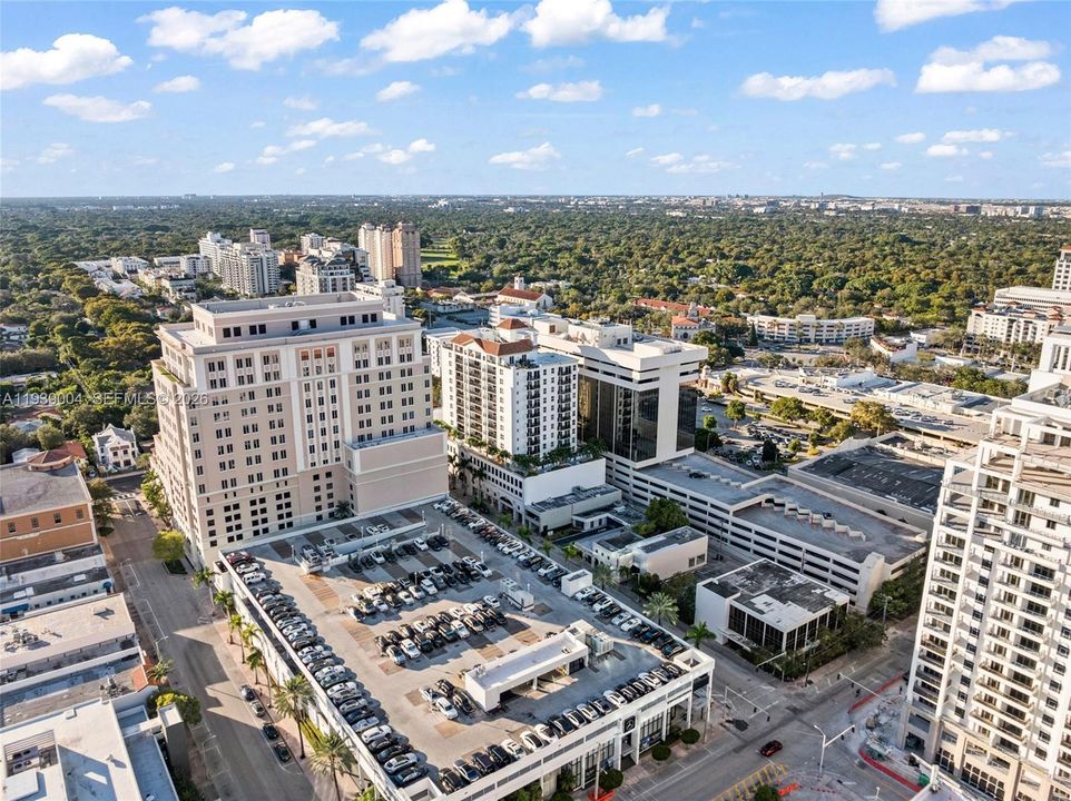 Coral Gables canopy of trees