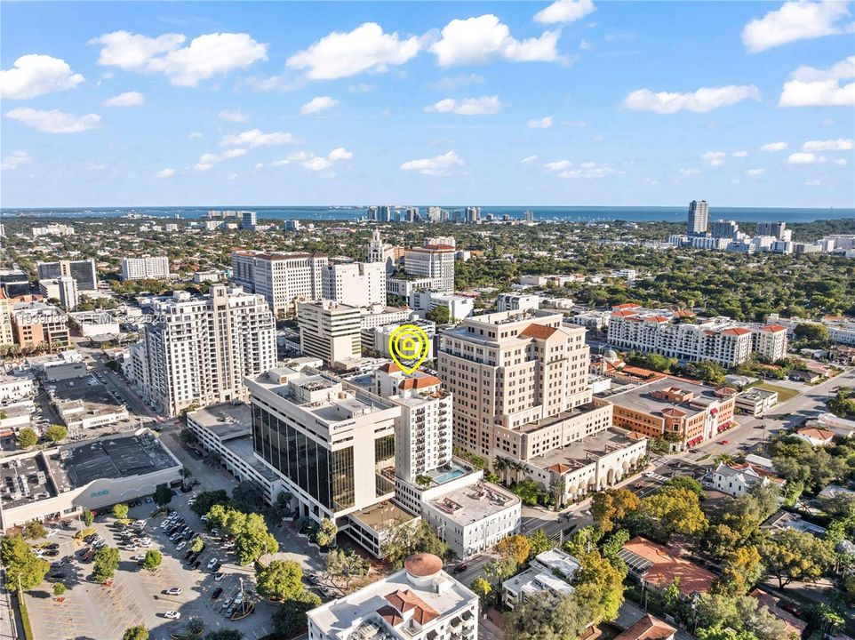 Coral Gables, canopy of trees, Brickell skyline and water views (as seen from the balcony)