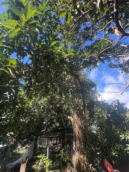 For Sale: $895,000 (5 beds, 3 baths, 0 Square Feet)