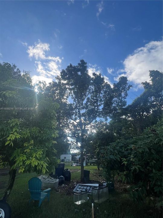 For Sale: $895,000 (5 beds, 3 baths, 0 Square Feet)