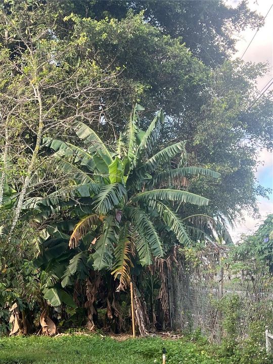 For Sale: $895,000 (5 beds, 3 baths, 0 Square Feet)