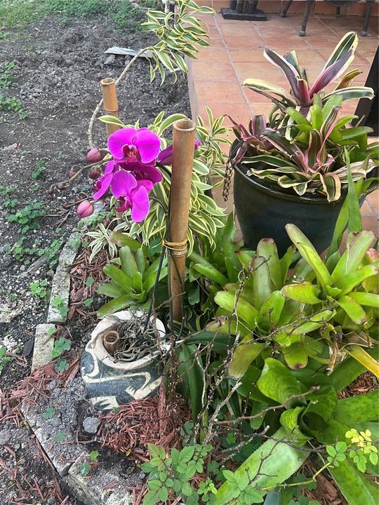 For Sale: $895,000 (5 beds, 3 baths, 0 Square Feet)