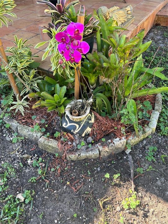 For Sale: $895,000 (5 beds, 3 baths, 0 Square Feet)