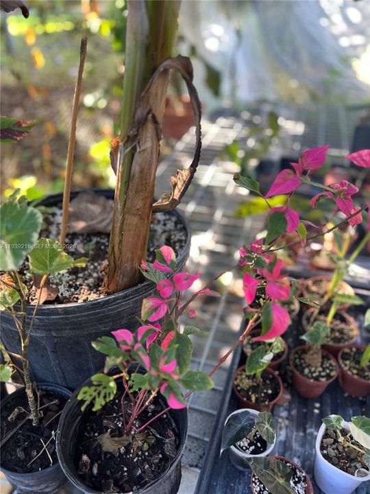 For Sale: $895,000 (5 beds, 3 baths, 0 Square Feet)