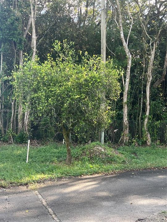 For Sale: $895,000 (5 beds, 3 baths, 0 Square Feet)