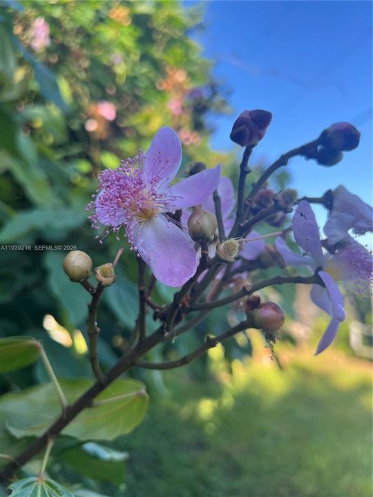 For Sale: $895,000 (5 beds, 3 baths, 0 Square Feet)