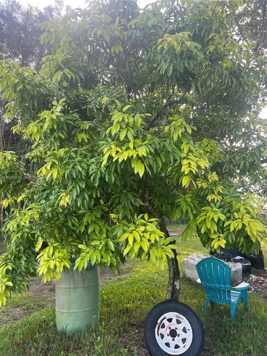 For Sale: $895,000 (5 beds, 3 baths, 0 Square Feet)