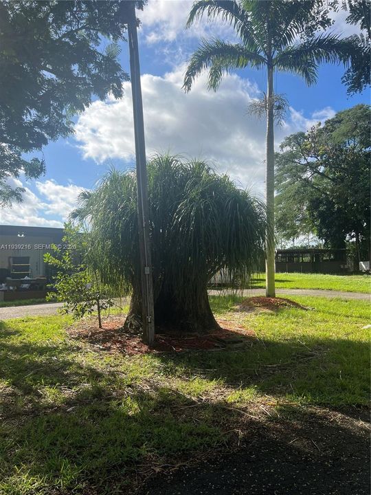 For Sale: $895,000 (5 beds, 3 baths, 0 Square Feet)