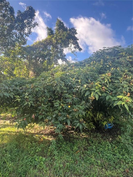 For Sale: $895,000 (5 beds, 3 baths, 0 Square Feet)