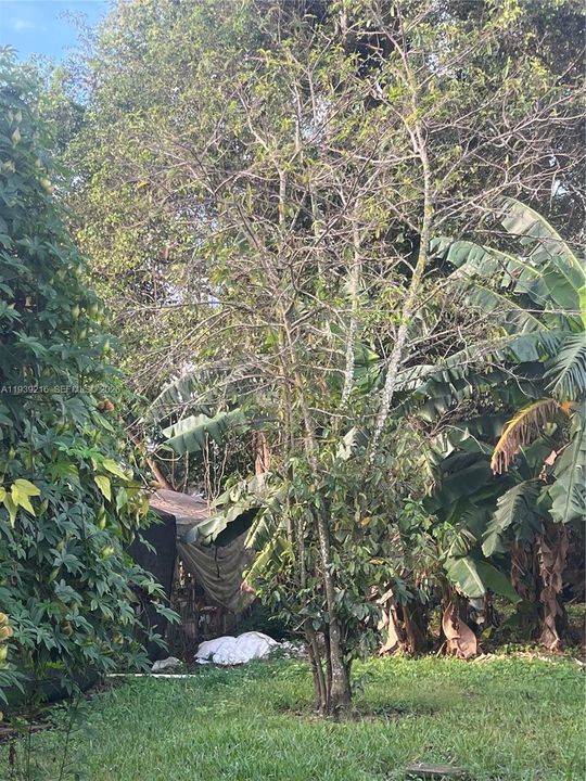 For Sale: $895,000 (5 beds, 3 baths, 0 Square Feet)