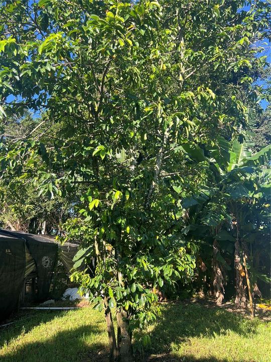 For Sale: $895,000 (5 beds, 3 baths, 0 Square Feet)