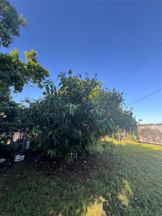 For Sale: $895,000 (5 beds, 3 baths, 0 Square Feet)