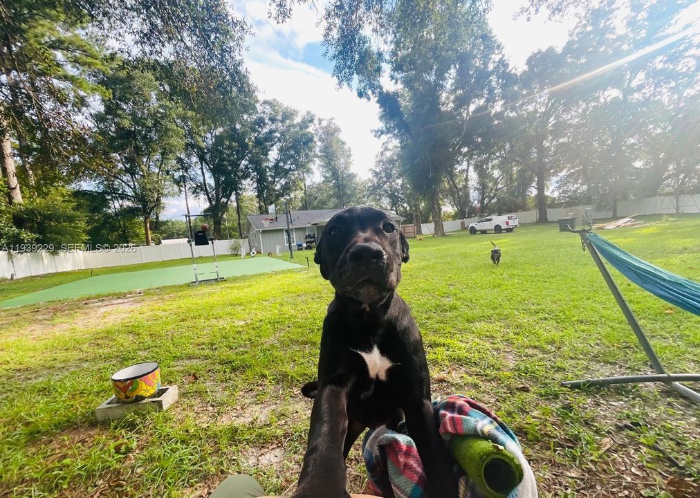 For Rent: $1,600 (3 beds, 2 baths, 1456 Square Feet)