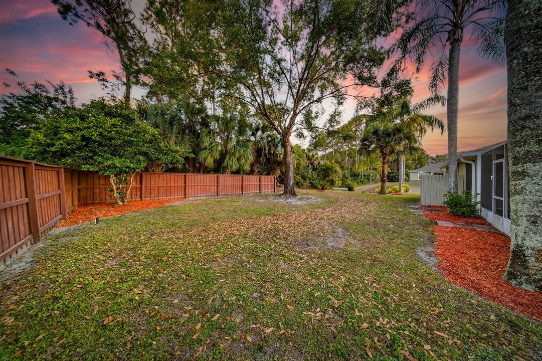 Backyard 2