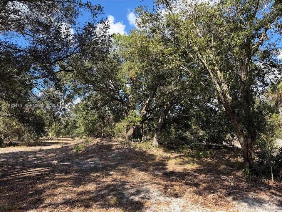 Recently Sold: $180,000 (5.00 acres)