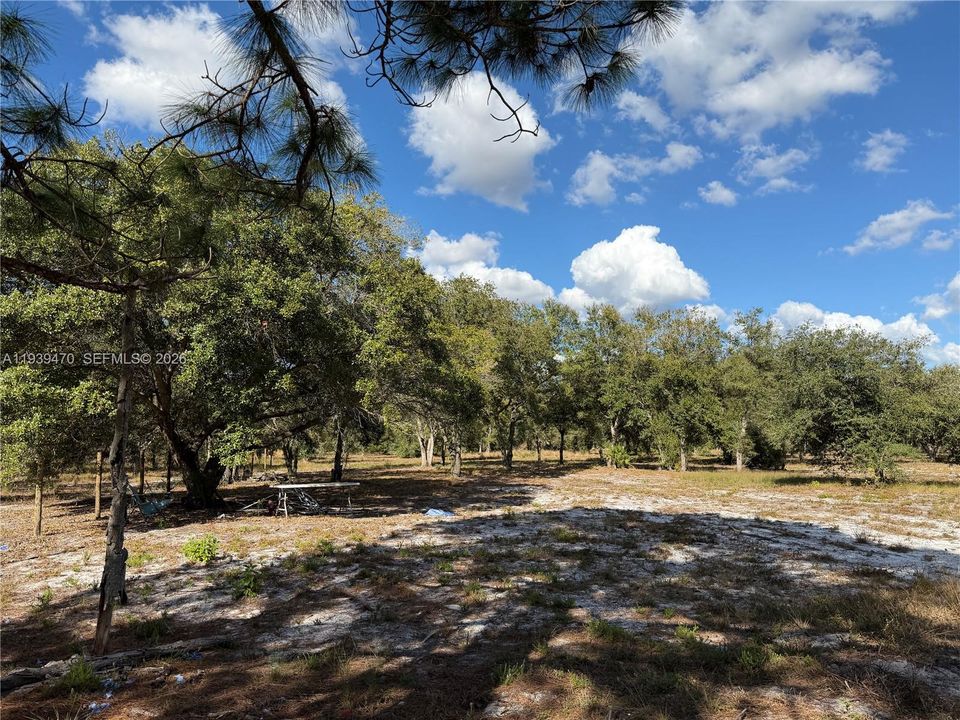 Recently Sold: $180,000 (5.00 acres)