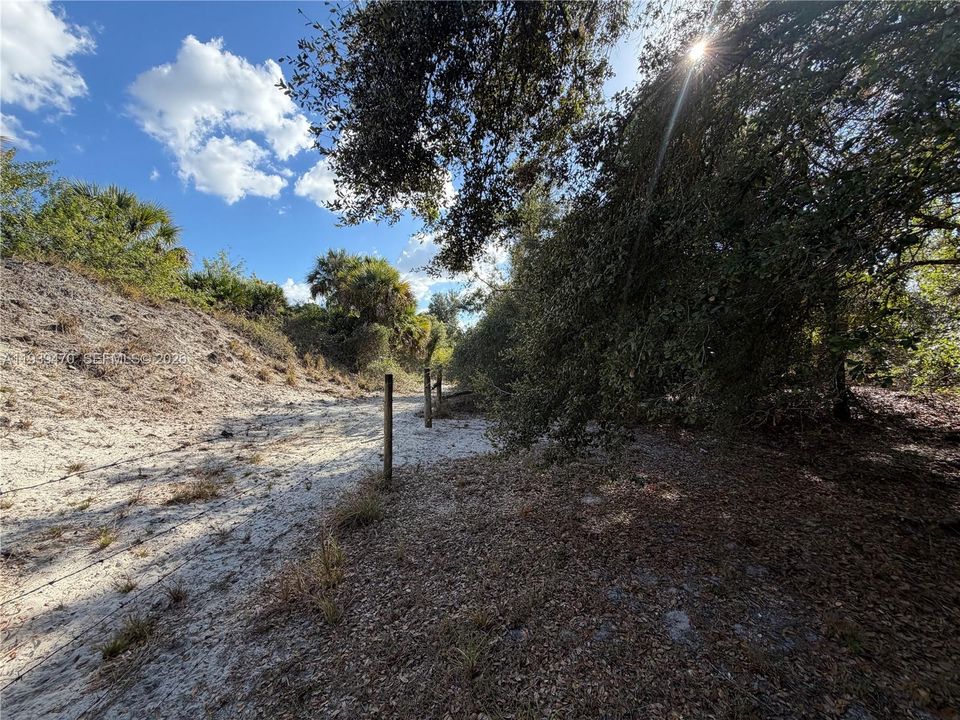 East boundary of the lot