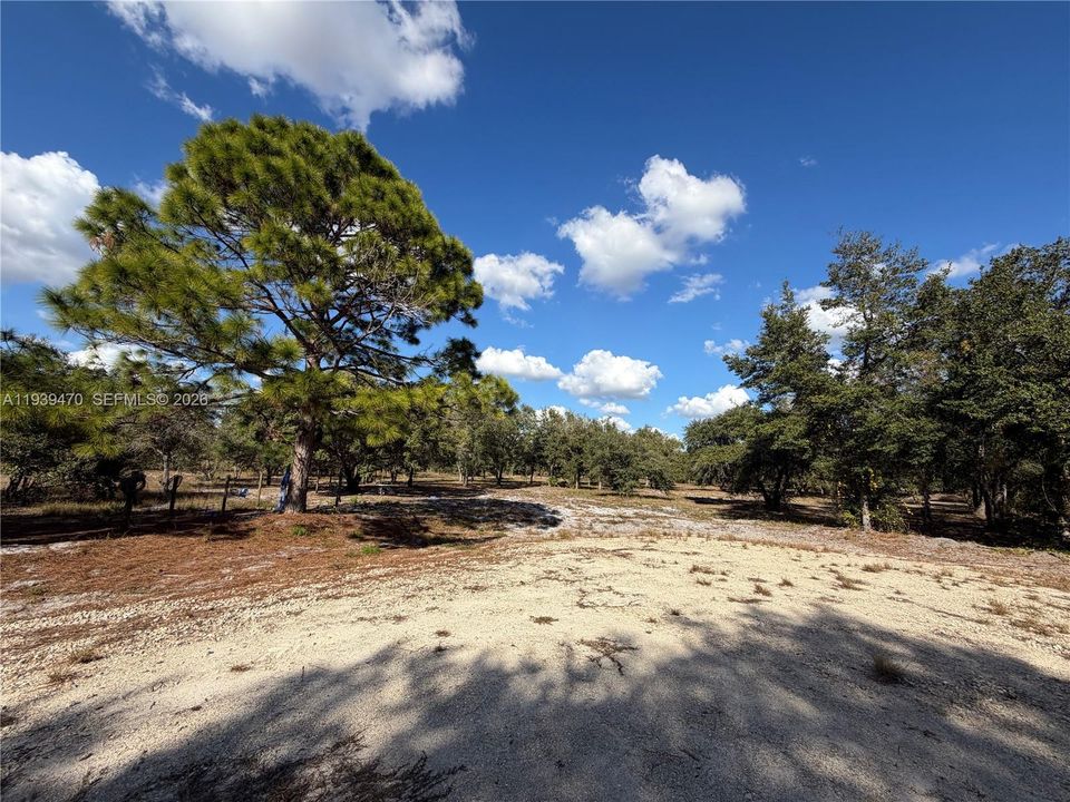Beginning of lot at the end of the private road