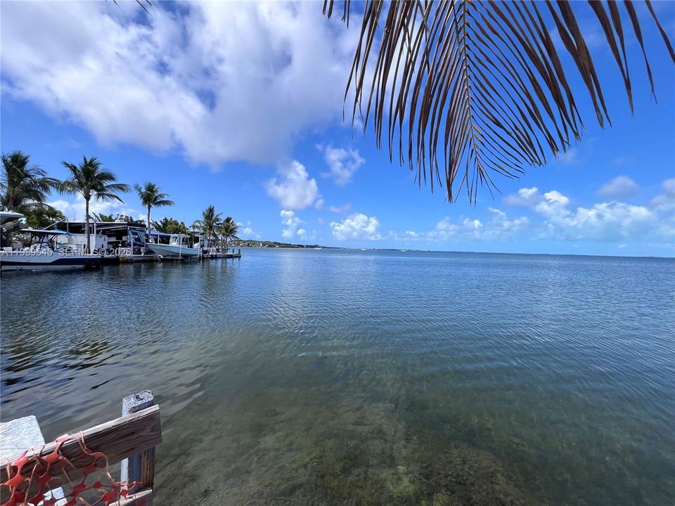 出租: $1,800 (1 贝兹, 1 浴室, 0 平方英尺)