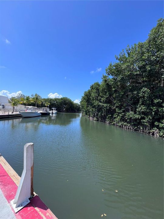 出租: $1,800 (1 贝兹, 1 浴室, 0 平方英尺)