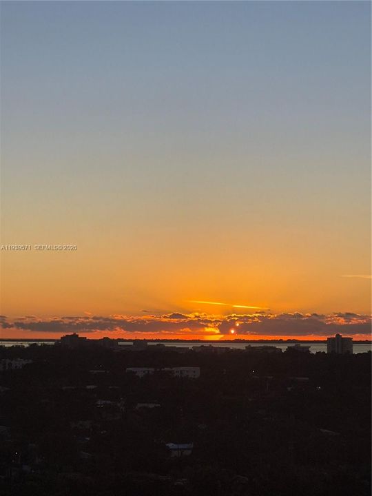 出租: $2,900 (1 贝兹, 1 浴室, 693 平方英尺)