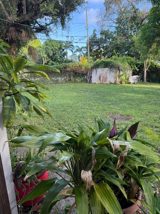 В аренду: $1,550 (1 спален, 1 ванн, 0 Квадратных фут)