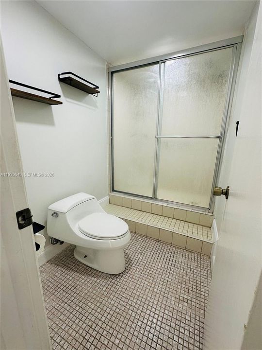 Master Shower / Toilet Room