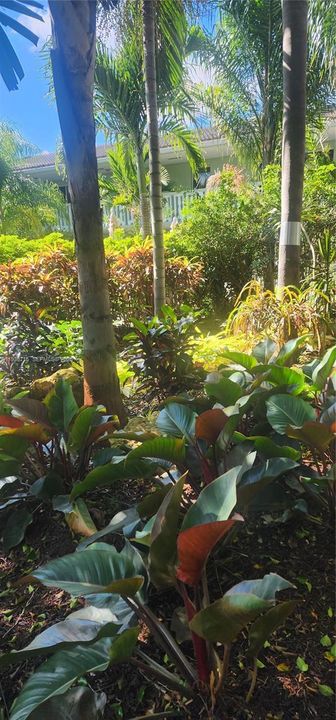 En Venta: $185,000 (1 camas, 1 baños, 585 Pies cuadrados)