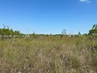 For Sale: $125,000 (0 beds, 0 baths, 0 Square Feet)