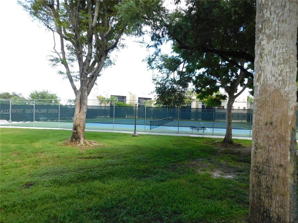 tennis courts