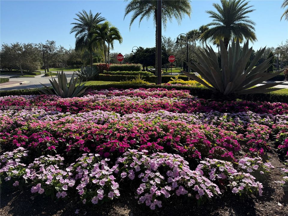 待售: $379,000 (3 贝兹, 2 浴室, 1646 平方英尺)