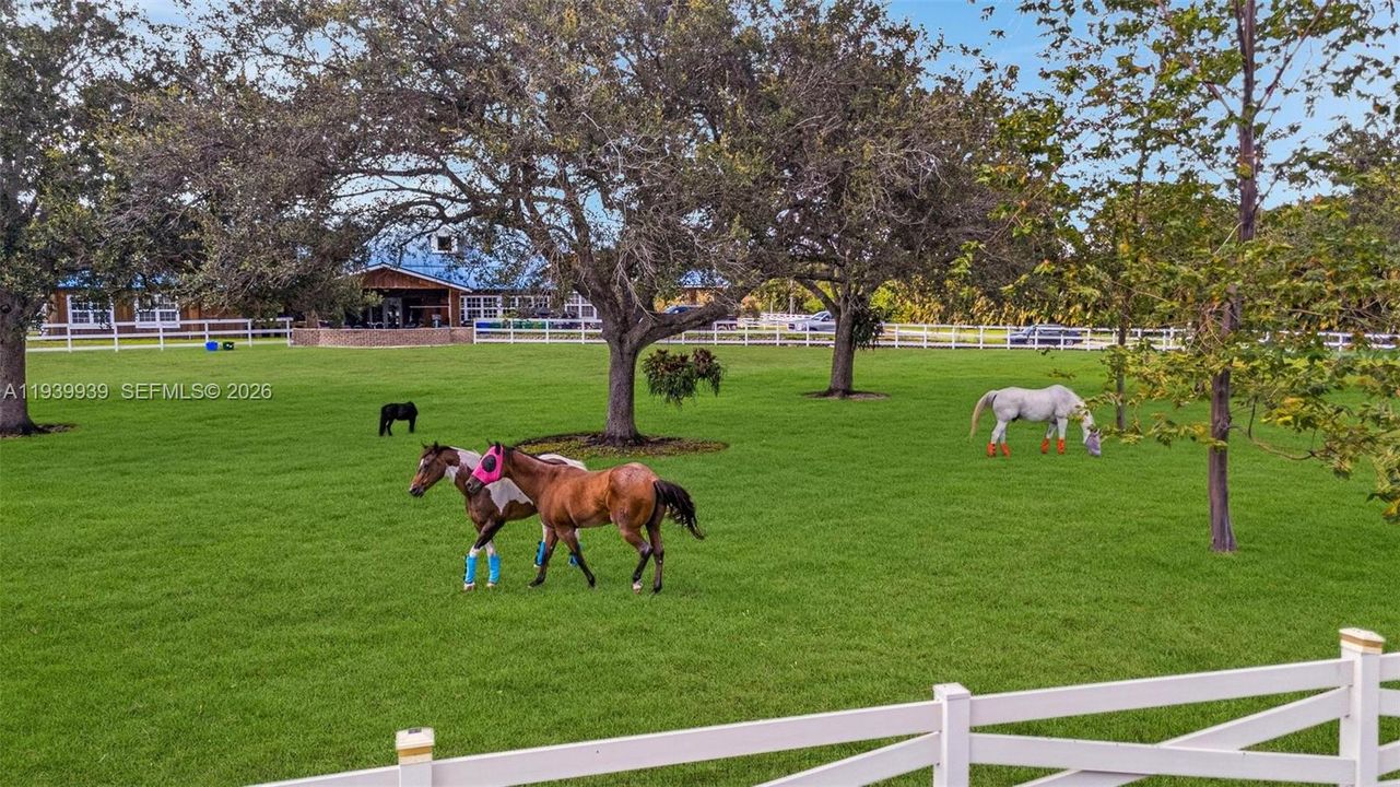 For Sale: $2,695,000 (7 beds, 4 baths, 5758 Square Feet)