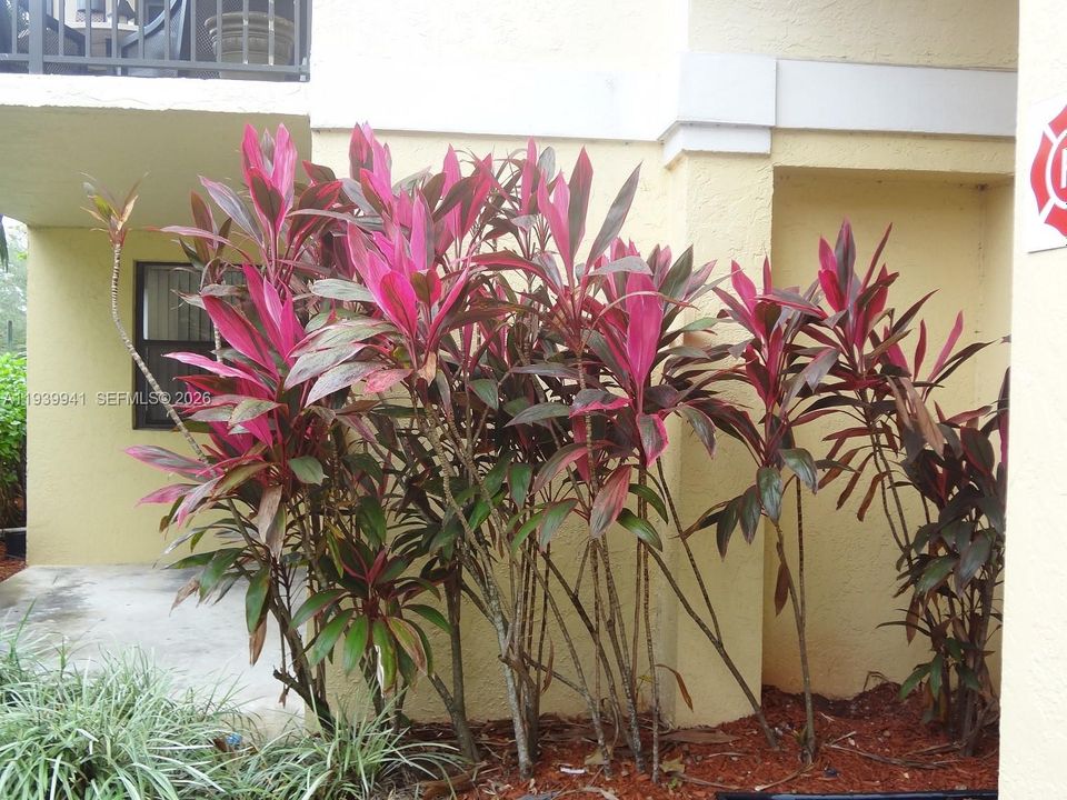 For Rent: $1,750 (1 beds, 1 baths, 806 Square Feet)