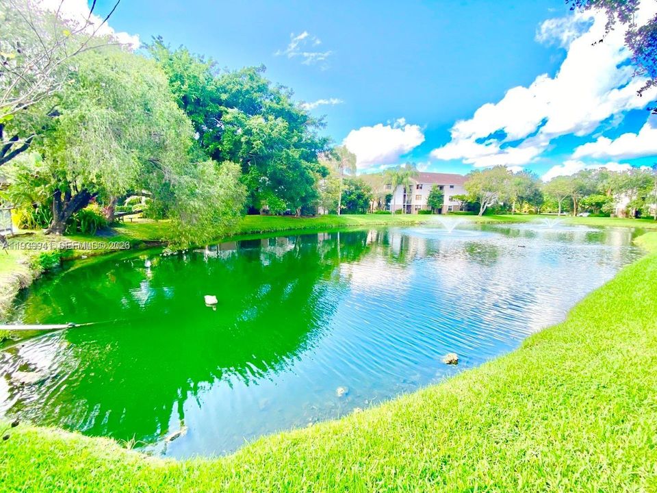 For Rent: $1,750 (1 beds, 1 baths, 806 Square Feet)