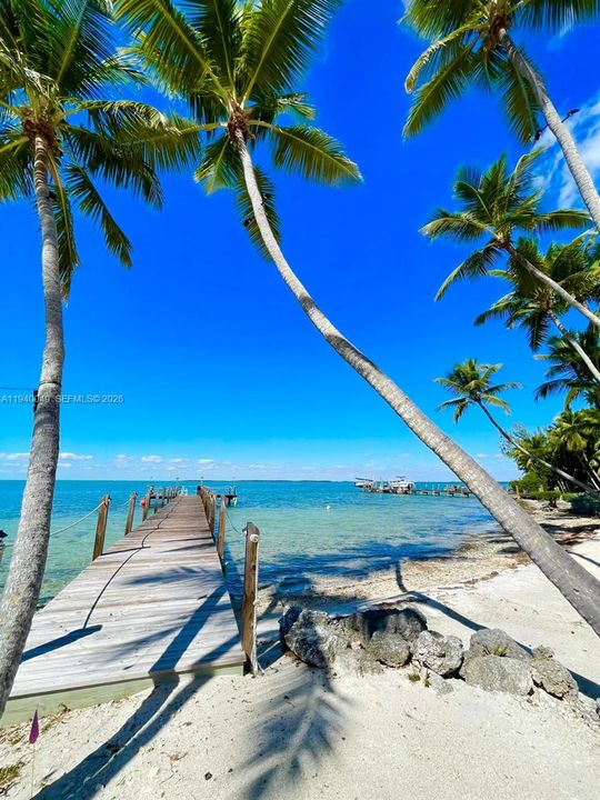 出租: $18,000 (4 贝兹, 4 浴室, 2300 平方英尺)