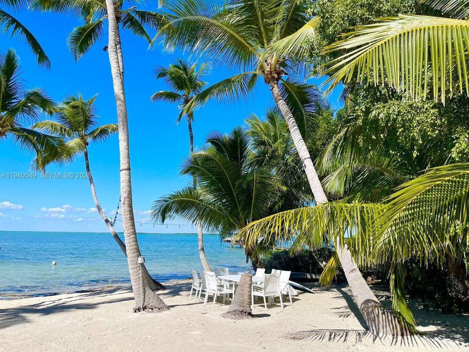 出租: $18,000 (4 贝兹, 4 浴室, 2300 平方英尺)