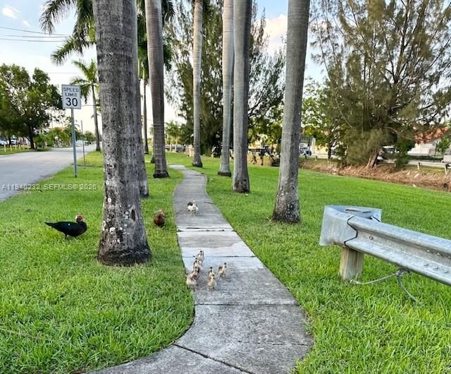 En Renta: $2,650 (2 camas, 1 baños, 990 Pies cuadrados)