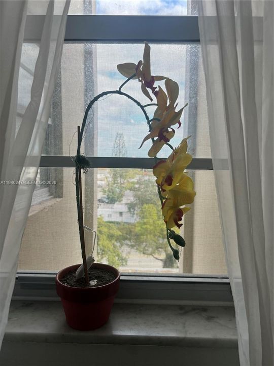 En Venta: $180,000 (1 camas, 1 baños, 934 Pies cuadrados)