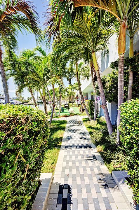 出租: $3,500 (2 贝兹, 2 浴室, 1311 平方英尺)