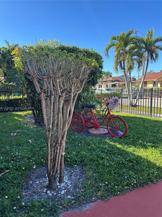 For Sale: $585,000 (3 beds, 2 baths, 1492 Square Feet)