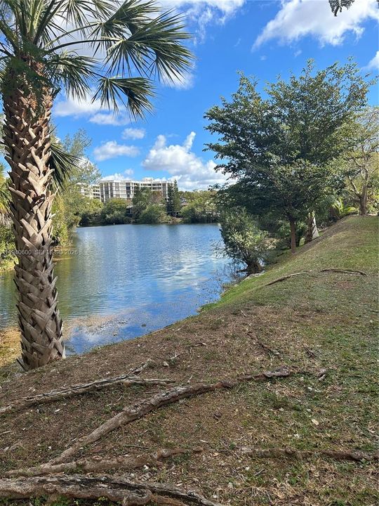 出租: $2,650 (3 贝兹, 2 浴室, 1090 平方英尺)